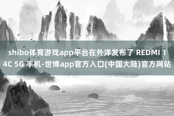 shibo体育游戏app平台在外洋发布了 REDMI 14C 5G 手机-世博app官方入口(中国大陆)官方网站