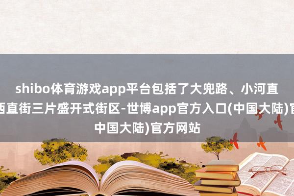 shibo体育游戏app平台包括了大兜路、小河直街、桥西直街三片盛开式街区-世博app官方入口(中国大陆)官方网站