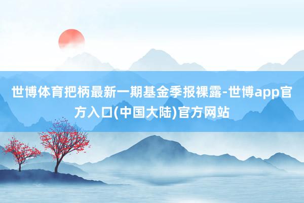 世博体育把柄最新一期基金季报裸露-世博app官方入口(中国大陆)官方网站